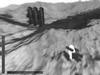 Movement test 21